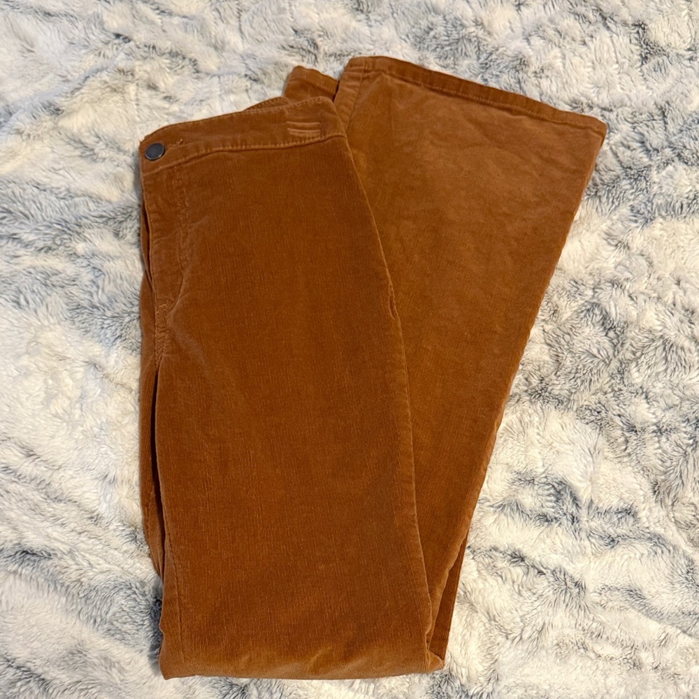 Brown/dark orange/burnt orange Corduroy Pants